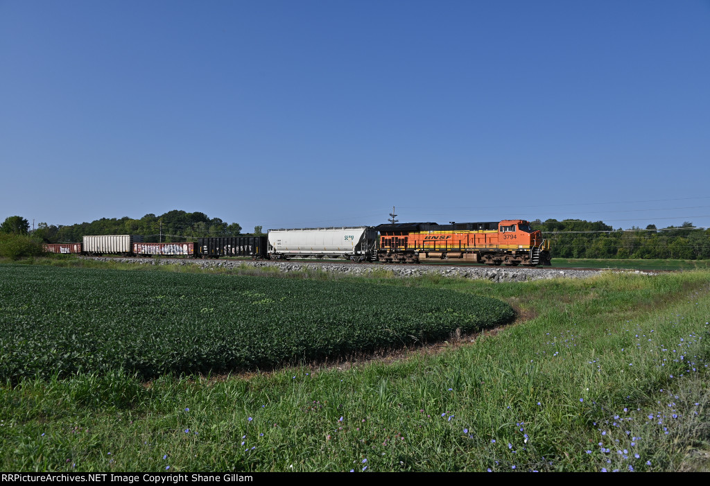 BNSF 3794